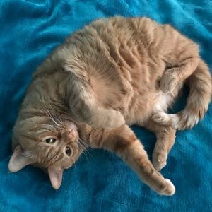 Meet your Posher, Emma